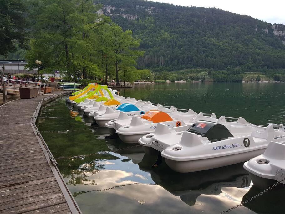 Joli Appartement En Face De Lac Nantua Ngoại thất bức ảnh