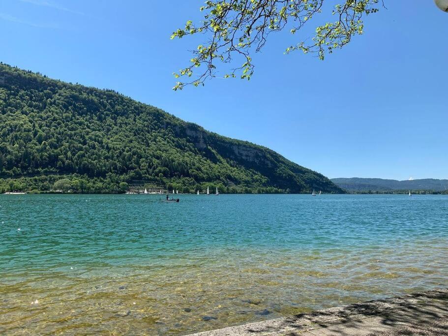 Joli Appartement En Face De Lac Nantua Ngoại thất bức ảnh